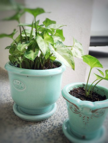 Processed with Snapseed.